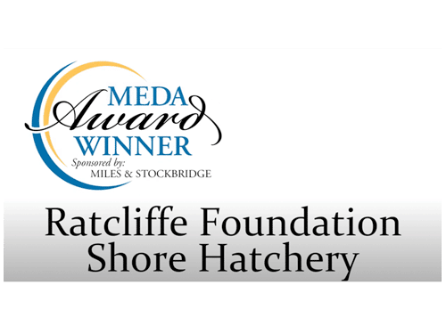 Ratcliffe Foundation Shore Hatchery MEDA Winner