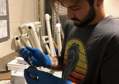Student working in lab at SAIL