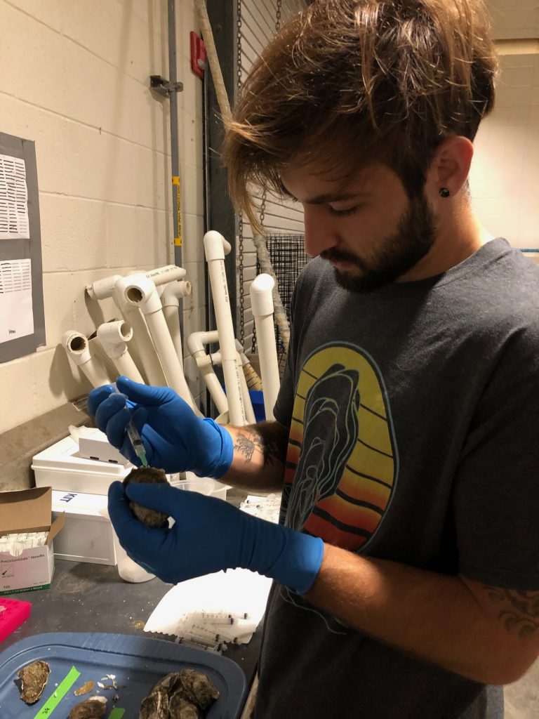 Student working in lab at SAIL