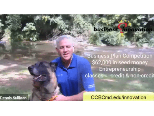 CCBC CBI Offers Seed Money & Courses